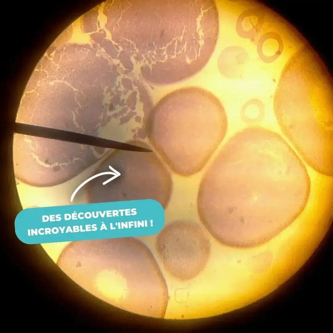 Microscope de Poche Enfant 60-120x – Dès 4 Ans