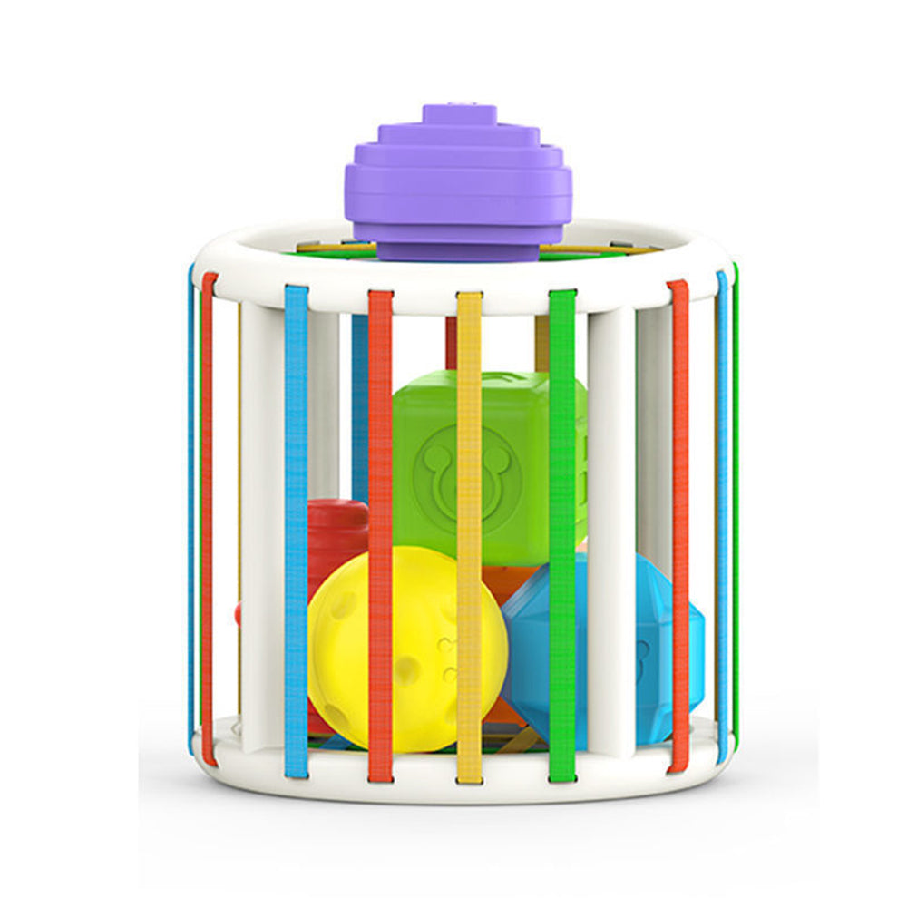 Jouet de Tri Sensoriel Montessori