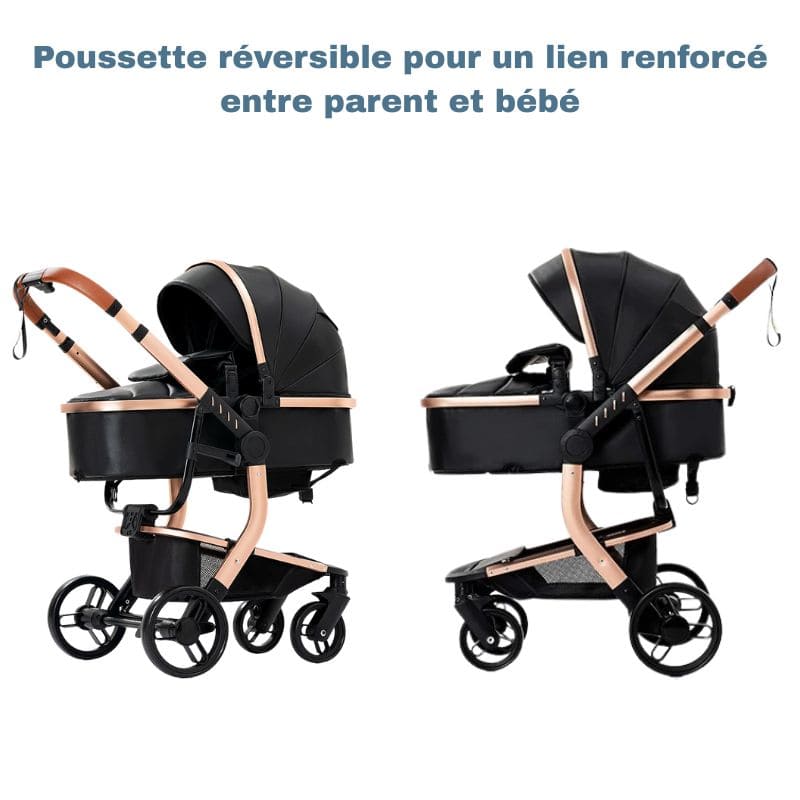 Poussette Bébé 3 en 1 en cuir PU | RoyalRide