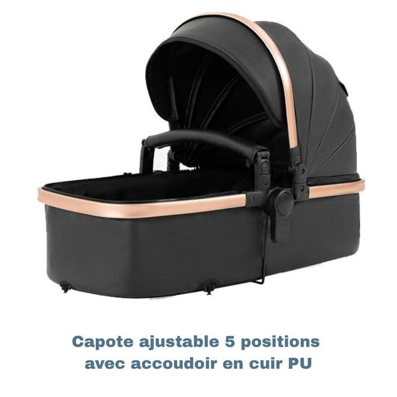 Poussette Bébé 3 en 1 en cuir PU | RoyalRide