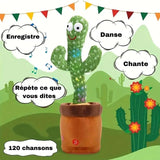 Jouet d'Éveil Bébé Cactus qui Danse | MisterCactus
