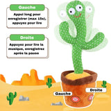 Jouet d'Éveil Bébé Cactus qui Danse | MisterCactus