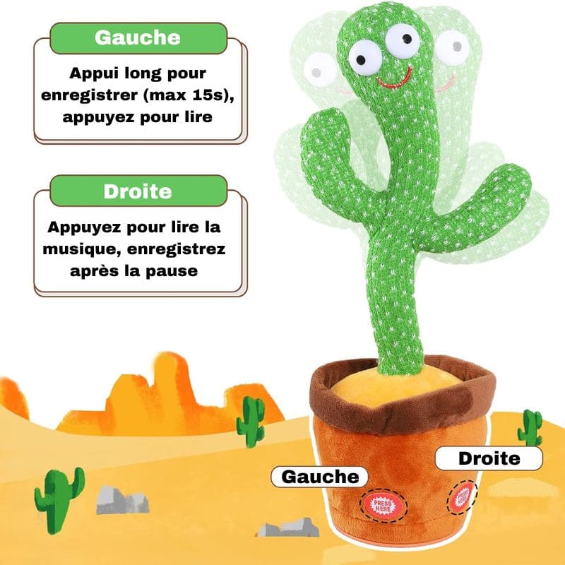 Jouet d'Éveil Bébé Cactus qui Danse | MisterCactus