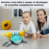 Jouet Crabe Bébé | Oscar Le Crabe