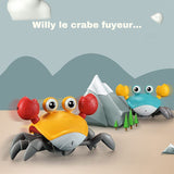Jouet Crabe Bébé | Oscar Le Crabe