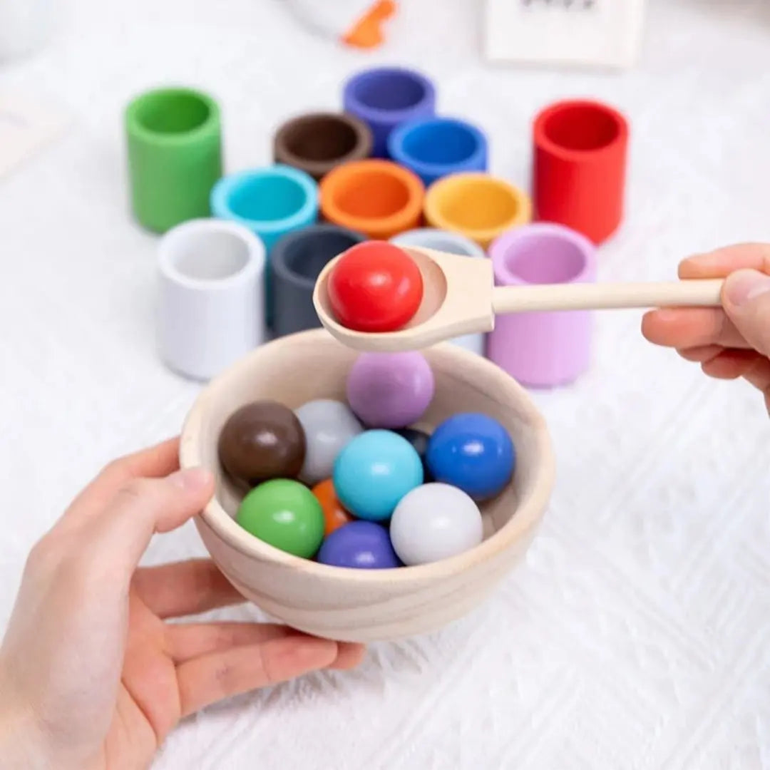 Boules et Tasses Montessori - ColorMatch