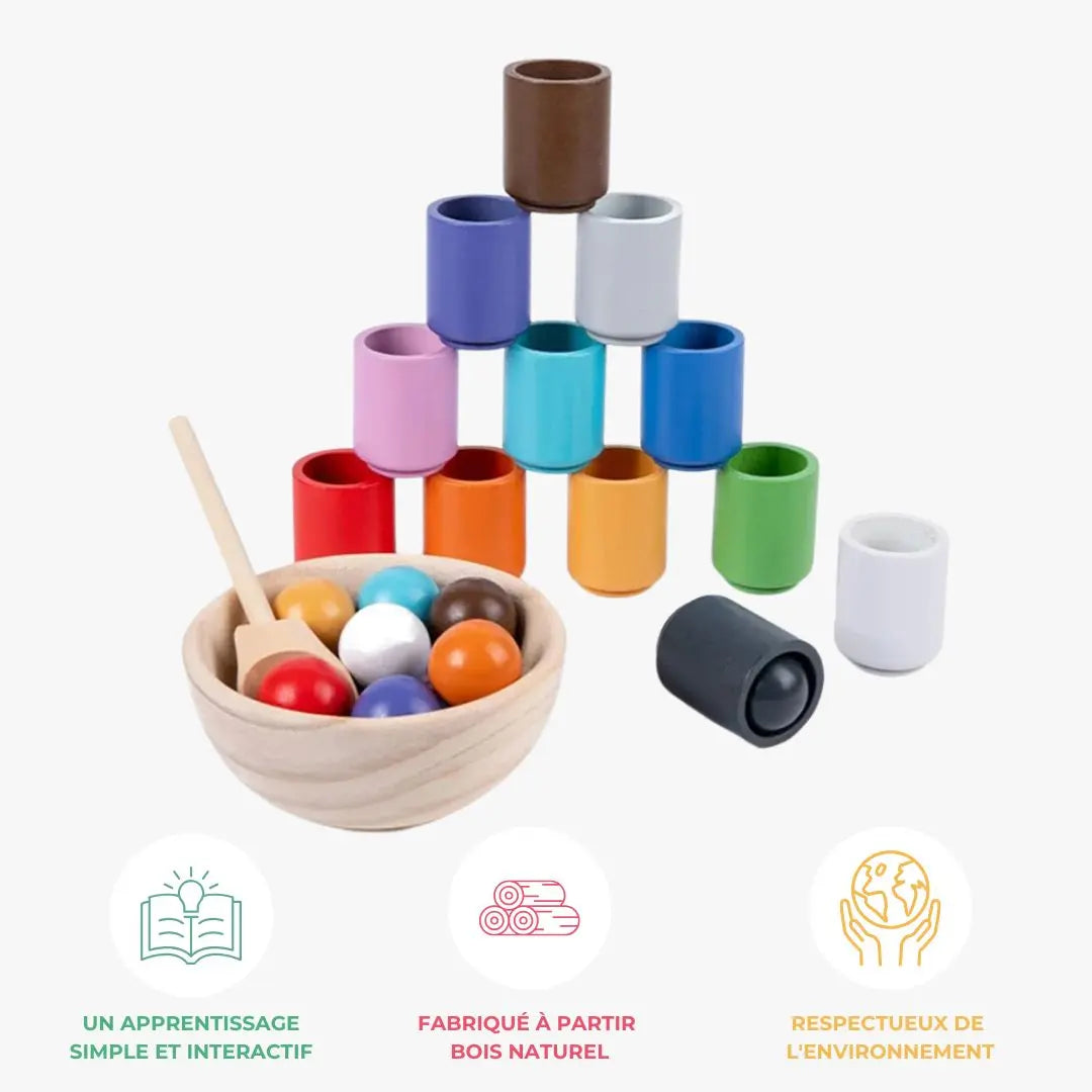 Boules et Tasses Montessori - ColorMatch