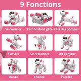 Chien Robot Interactif  - PETBOT