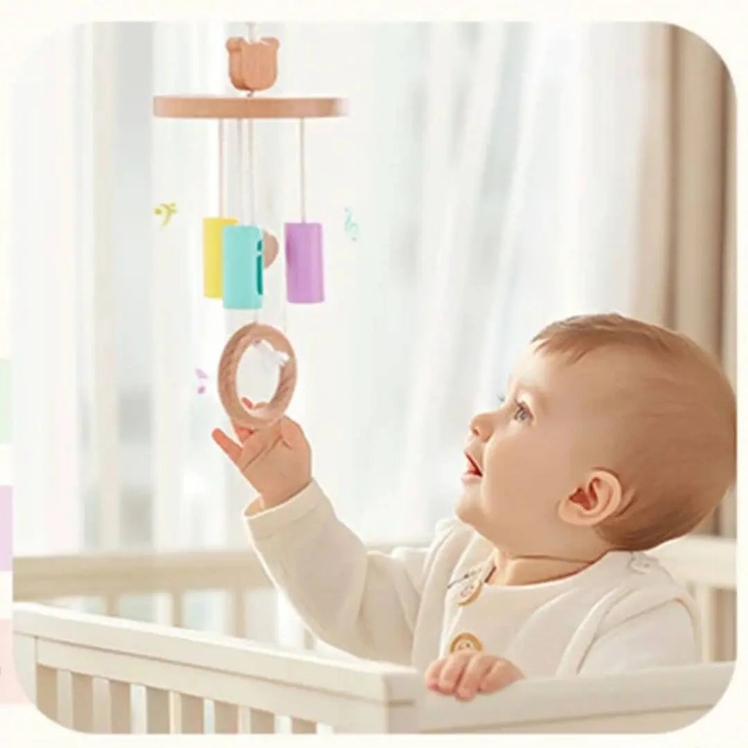 Coffret Jouet en Bois Bébé Montessori 0-6 mois – Bébé Box