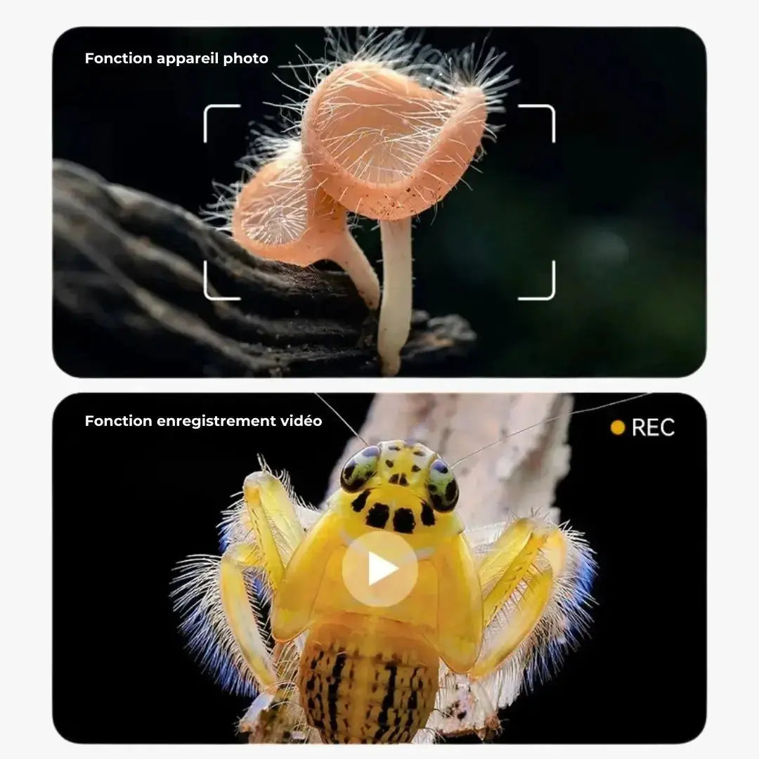 Microscope Électronique Enfant Écran 5cm Zoom 500x – Dès 6 Ans