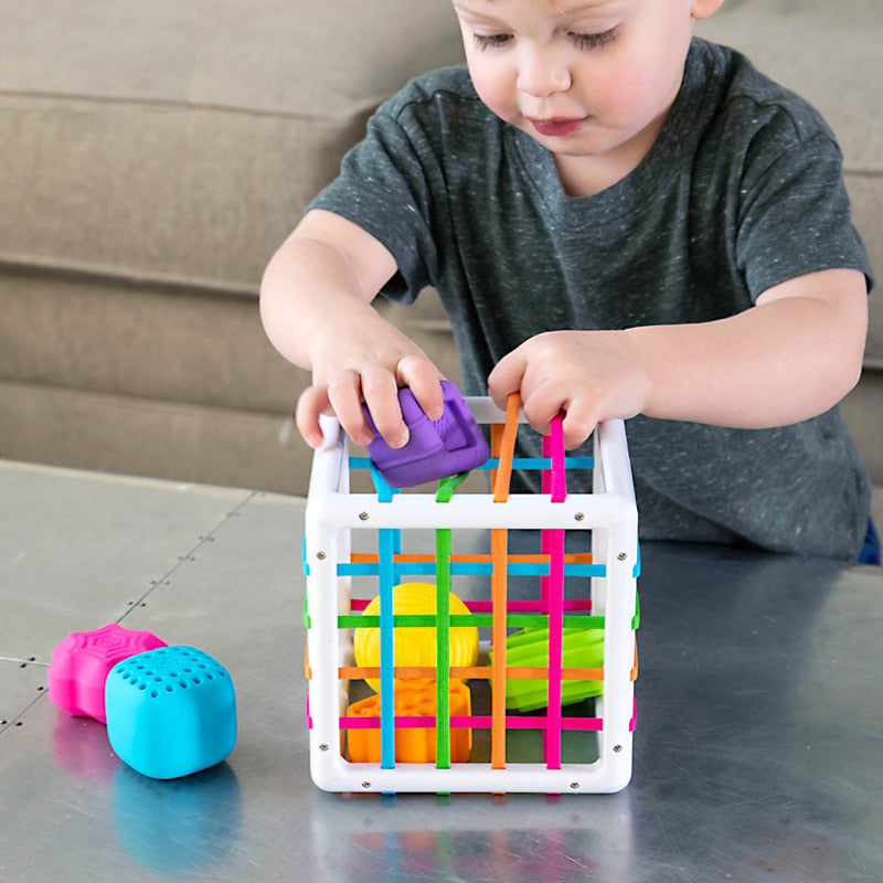 Jouet de Tri Sensoriel Montessori