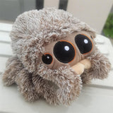 Mon beau doudou - Araignée aux Grands Yeux
