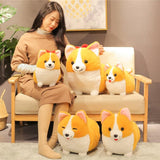 Peluche adorable chien Corgi pour enfant