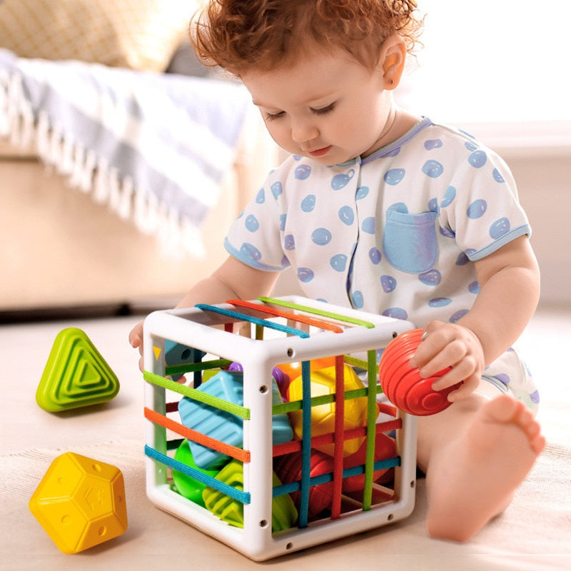 Jouet de Tri Sensoriel Montessori
