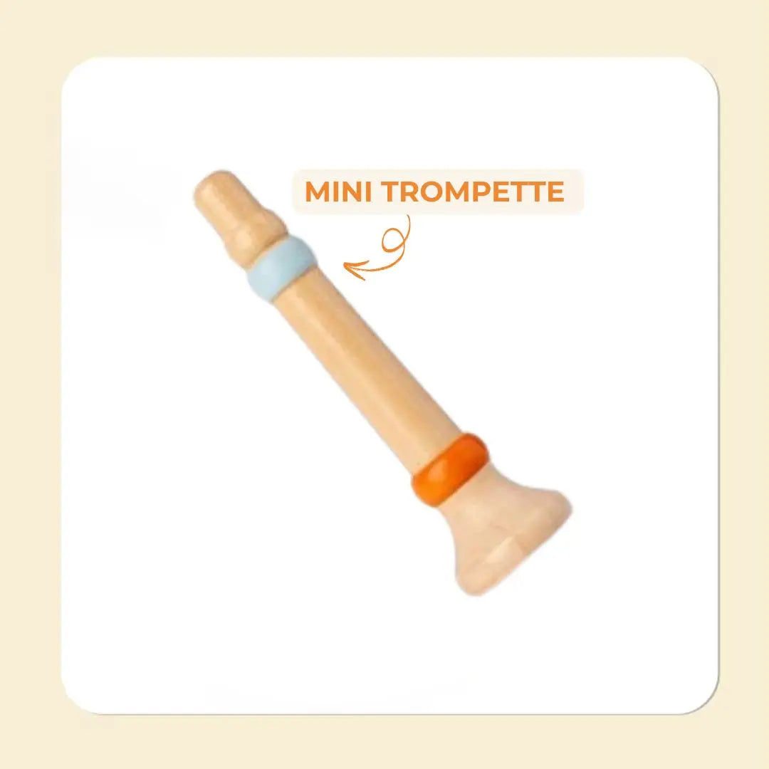 Instrument de musique pour bébé 7 instruments - MiniMelody