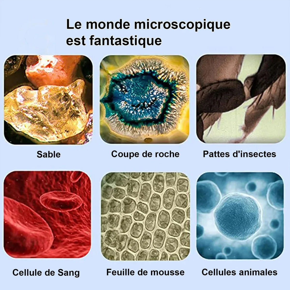 Pack Merveilles