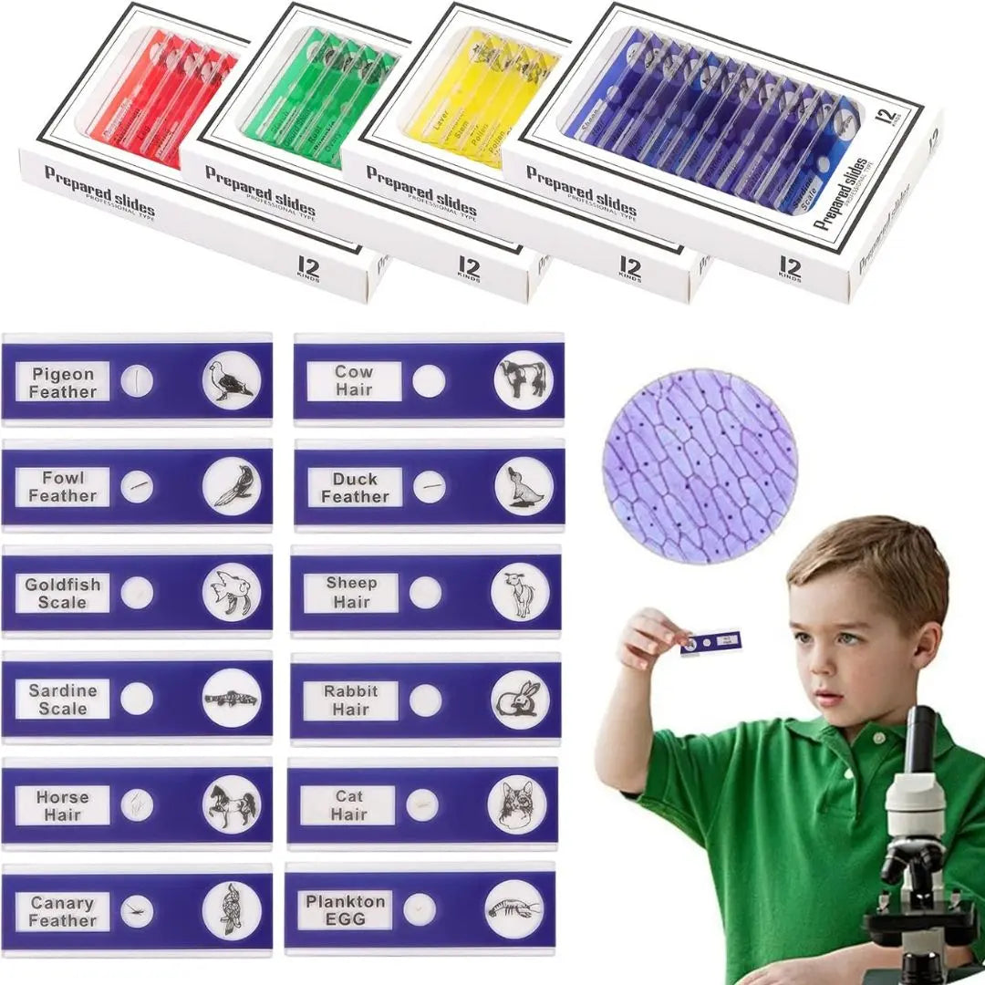 Lames Microscope Enfant - PrepScope Kit