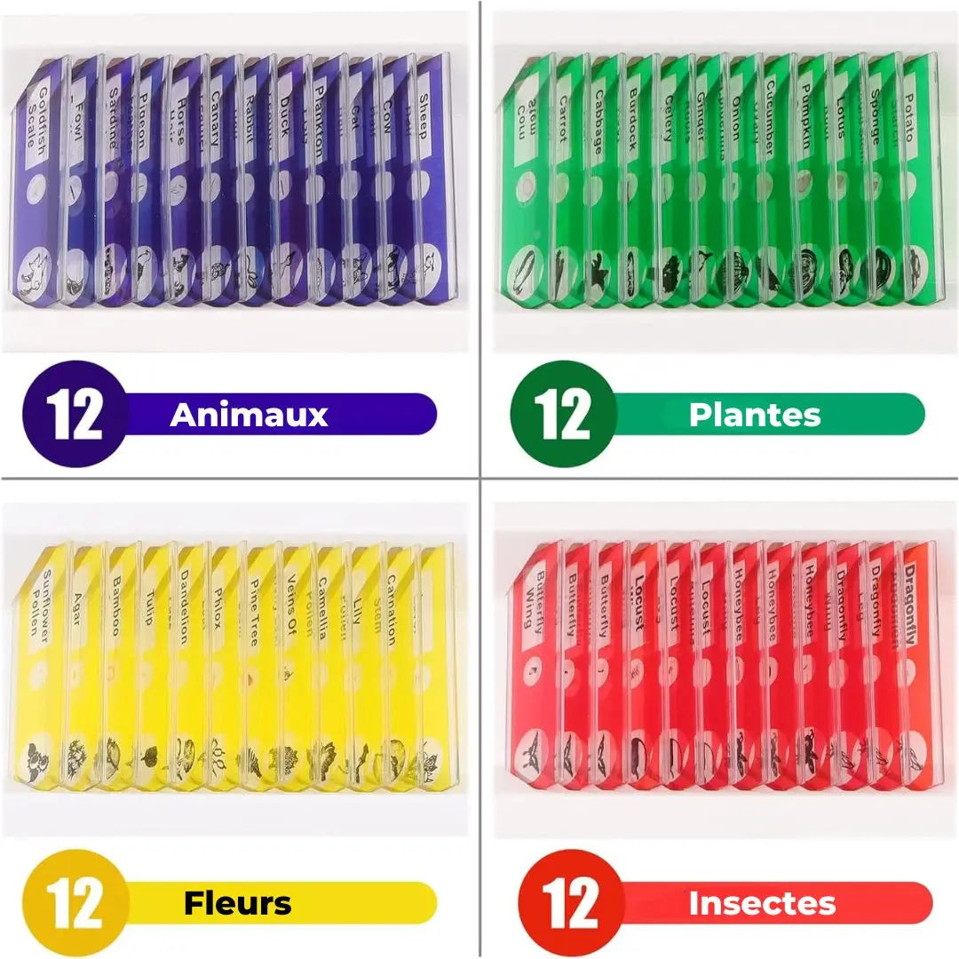 Lames Microscope Enfant - PrepScope Kit