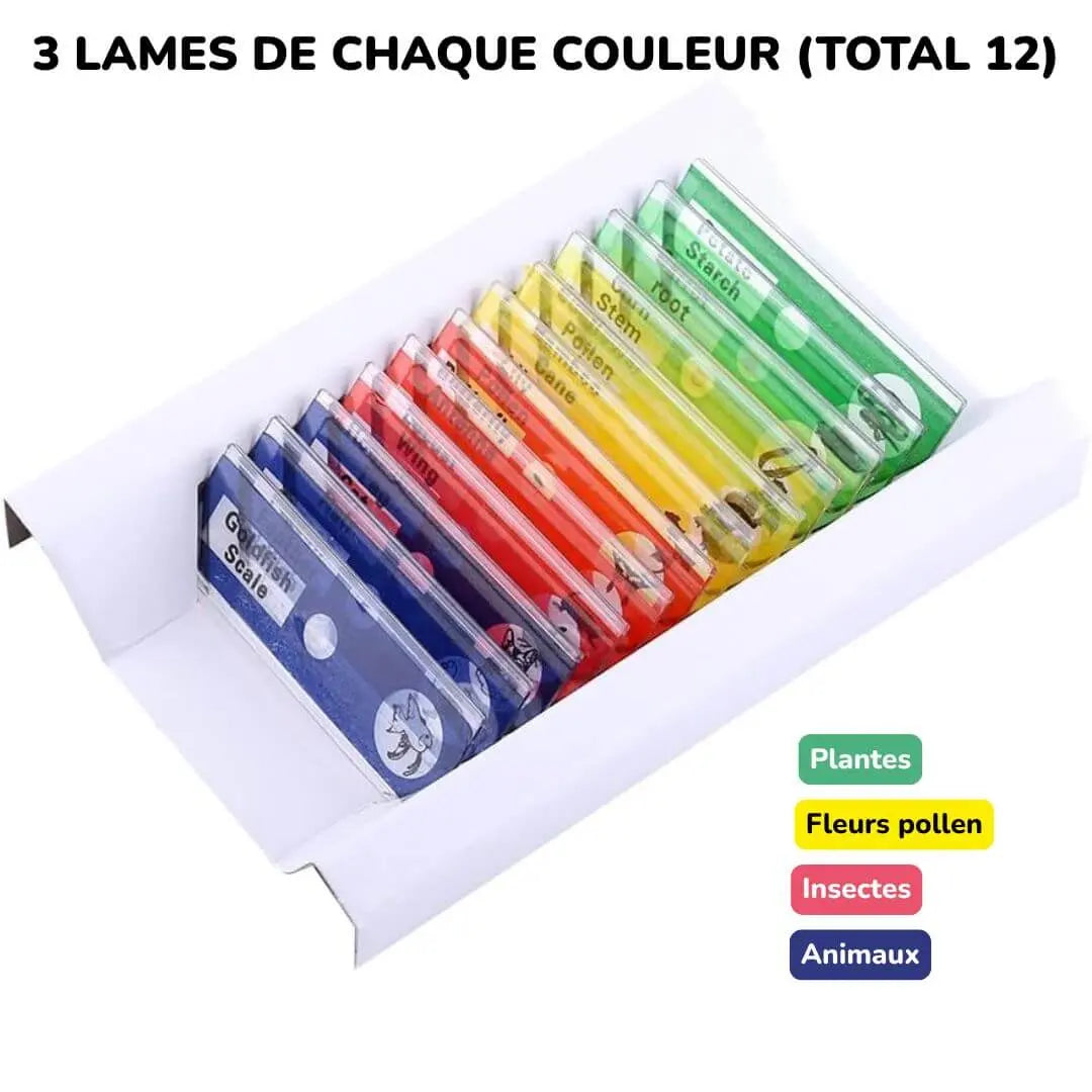 Lames de Microscope Préparées – Coffret Multicolore 12 pcs