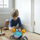 Le crabe interactif - CuteCrabe