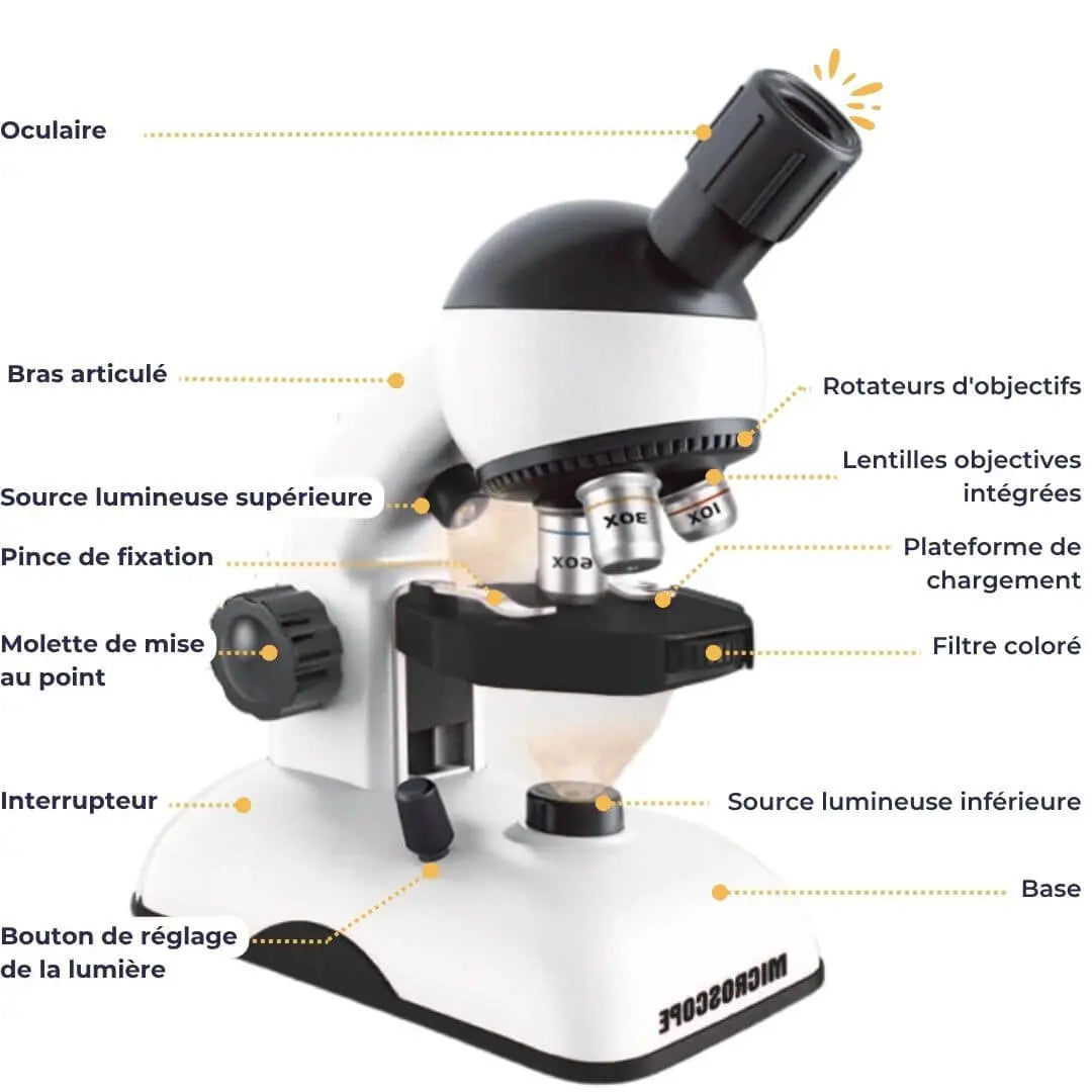 Microscope Enfant Haute Précision 1200x – Dès 6 Ans