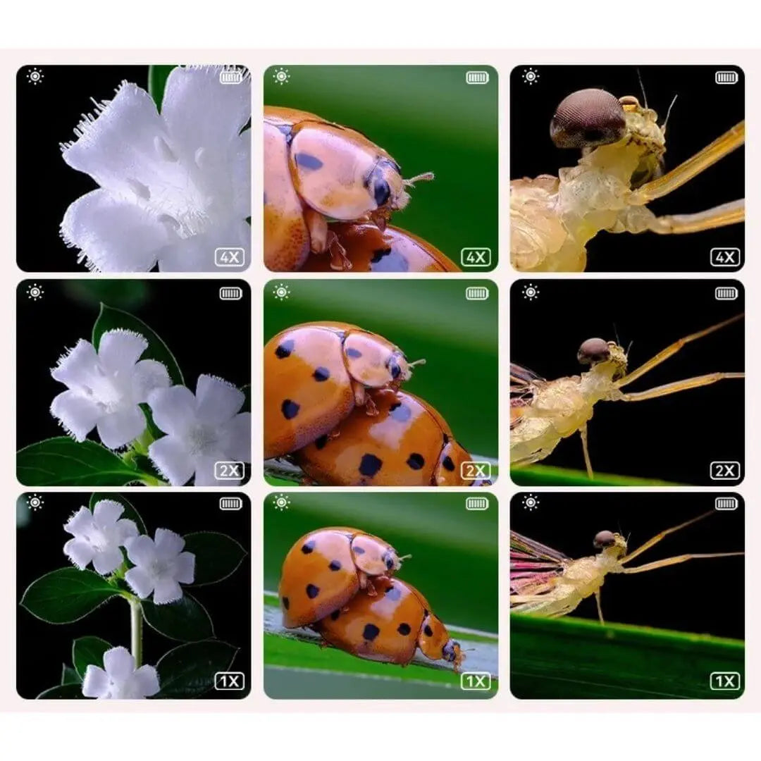 Microscope Numérique Enfant – Dès 6 Ans