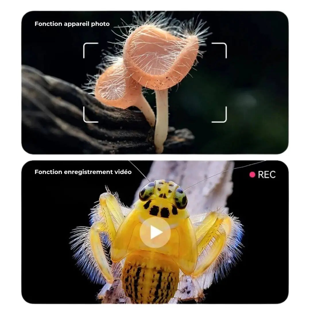 Microscope Numérique Enfant – Dès 6 Ans