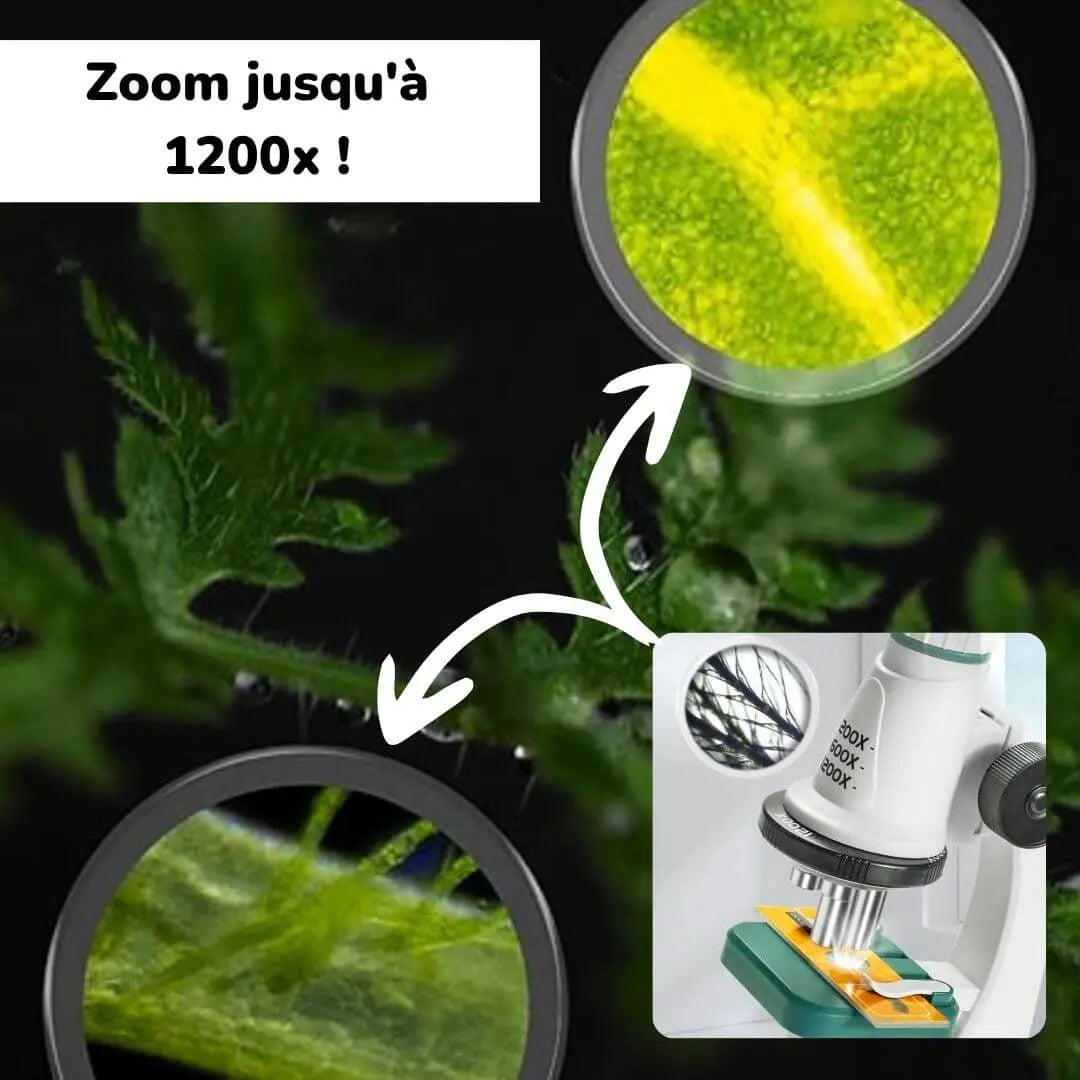Microscope Optique Enfant Éducatif 12 Lames Préparées – Dès 6 Ans
