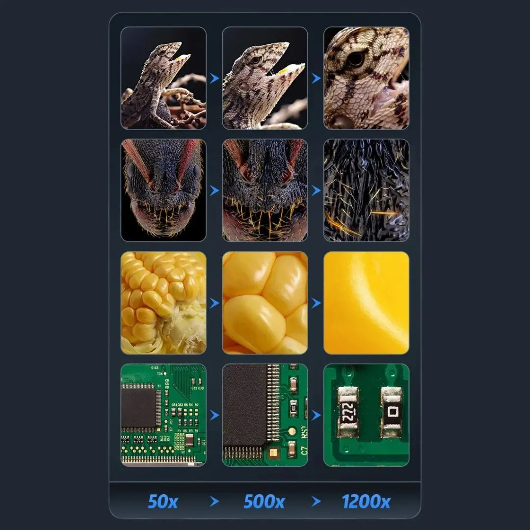 Microscope Électronique Enfant Grand Écran Zoom 1200x – Dès 6 Ans