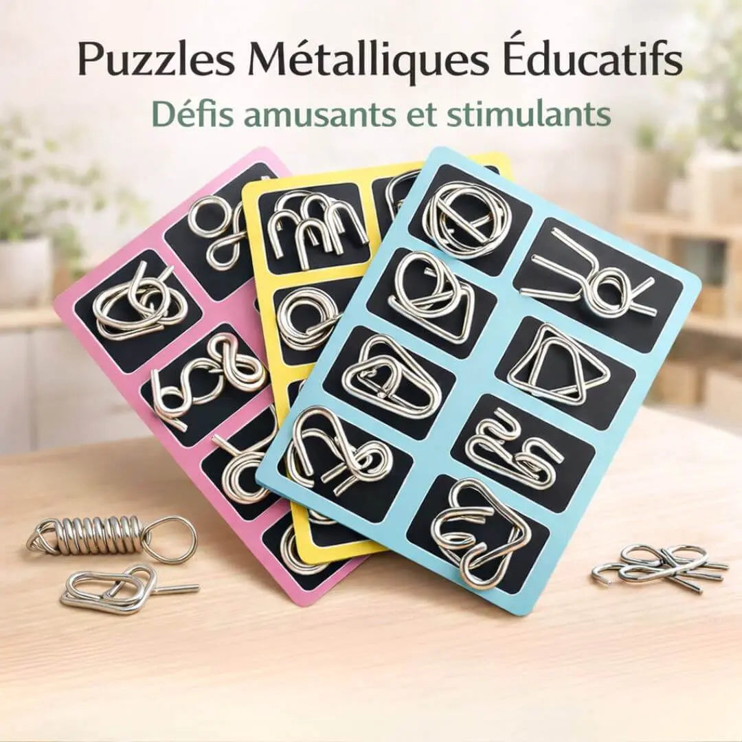Puzzle Montessori Enfant – Casse-Têtes Métal Éducatifs