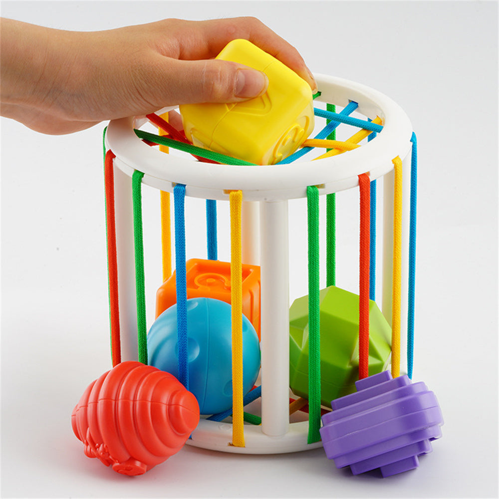 Jouet de Tri Sensoriel Montessori