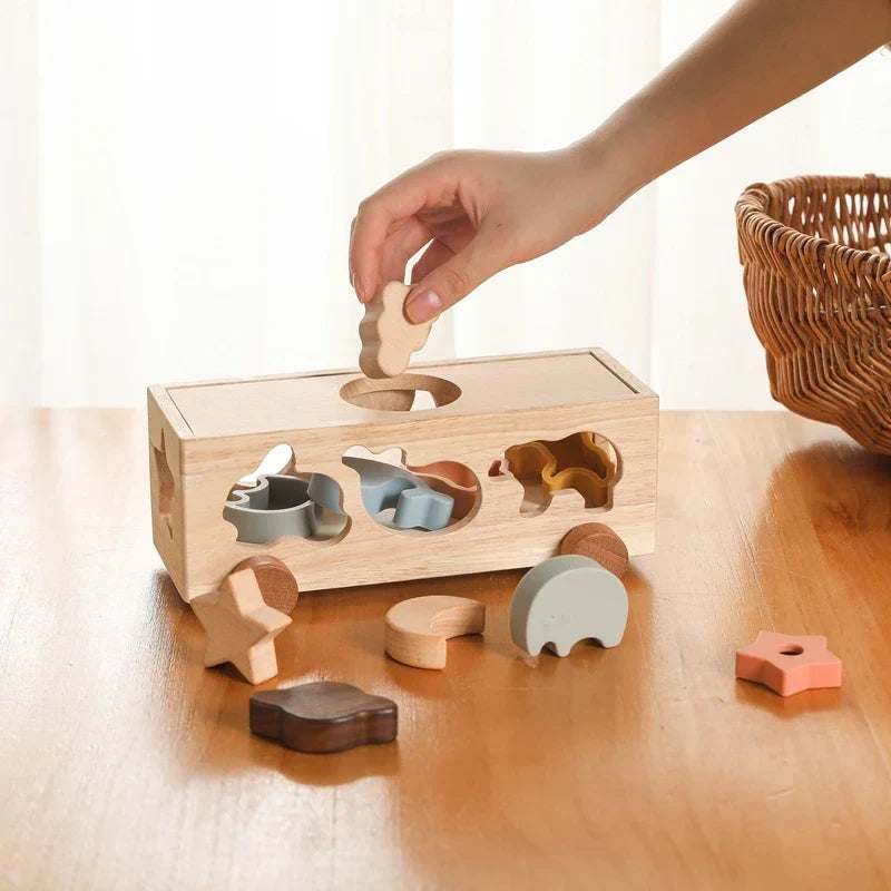 Boite de Tri Montessori