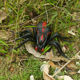 Araignée Télécommandée Bébé