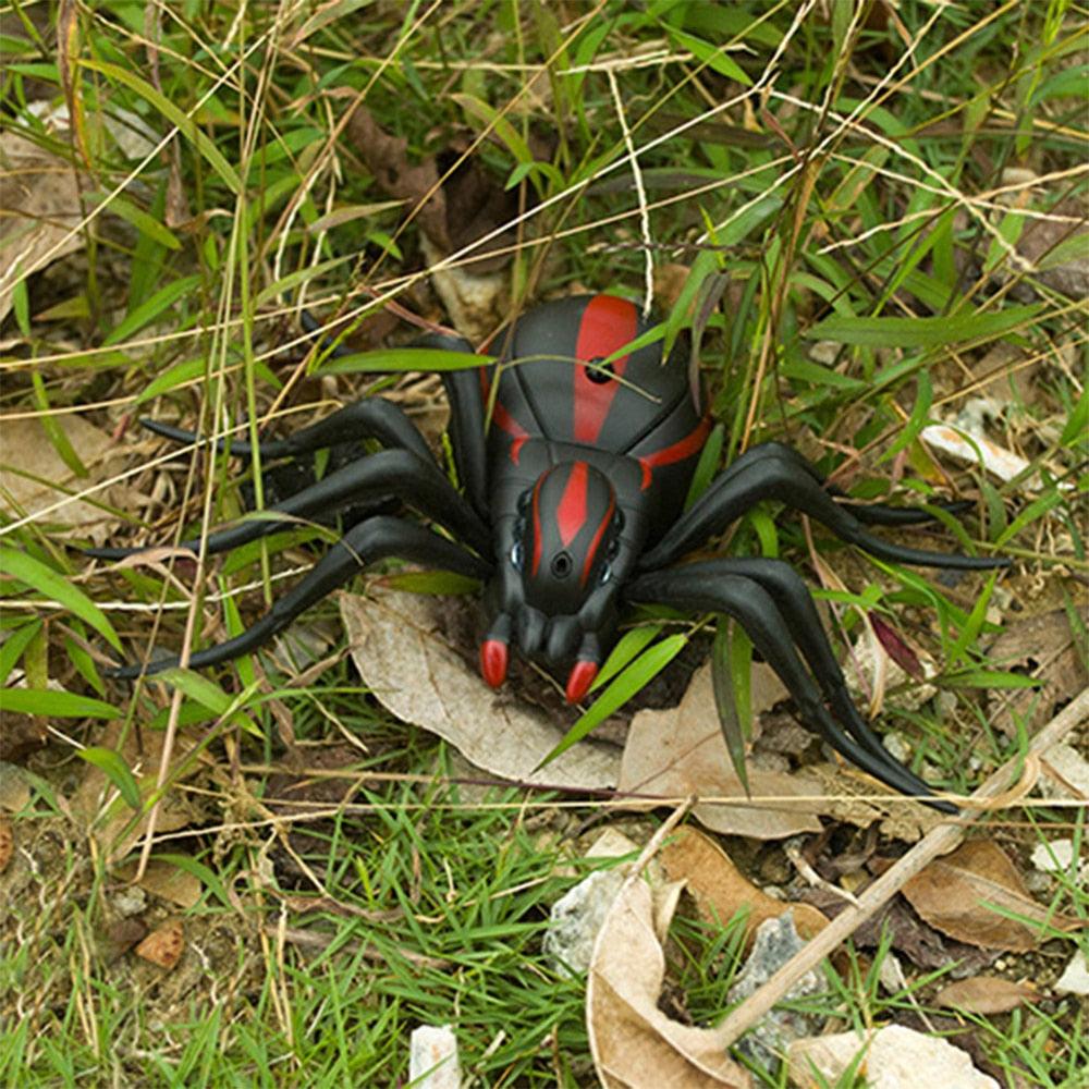 Araignée Télécommandée Bébé