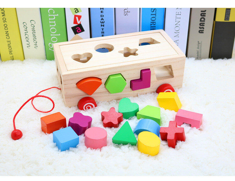 Montessori Boîte de Tri des Formes en Bois & Jouet à Tirer (Boîte Cognitive 16 Trous)