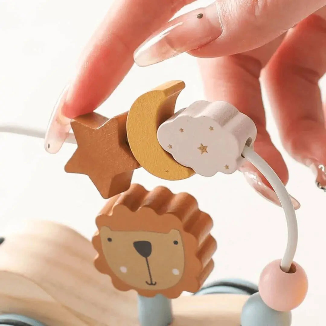 Train en Bois Montessori Animaux et Arc-en-Ciel – ColorTrain