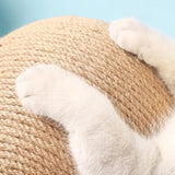Boule à Gratter pour Chat