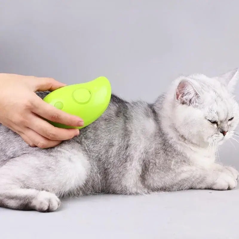 Brosse à vapeur pour chat-ClubdesJouets