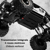 Buggy RC Télécommandé 4x4 Tout Terrain | RockRider