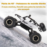 Buggy RC Télécommandé 4x4 Tout Terrain | RockRider