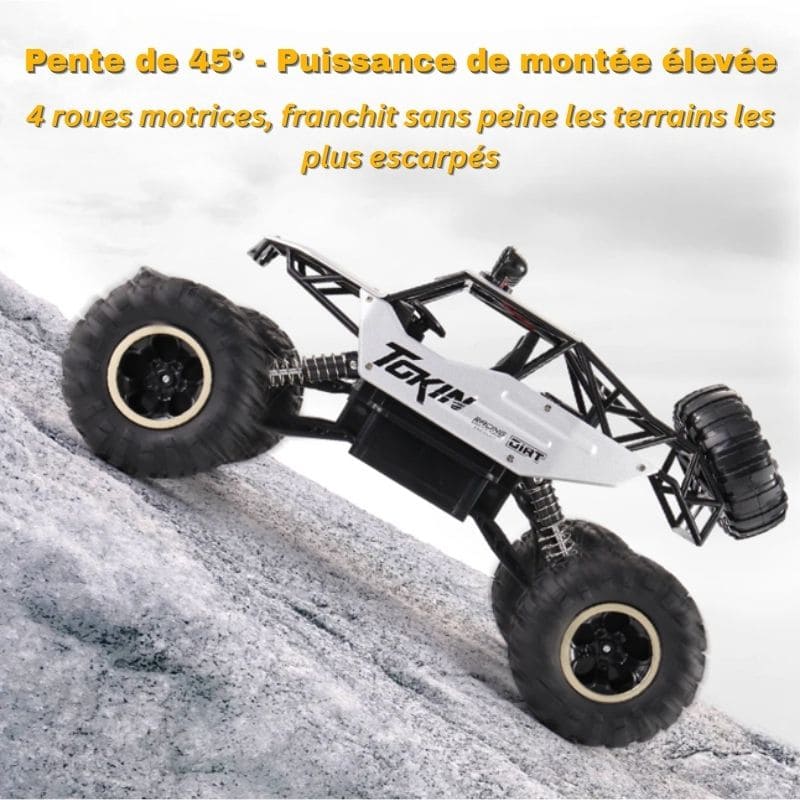 Buggy RC Télécommandé 4x4 Tout Terrain | RockRider