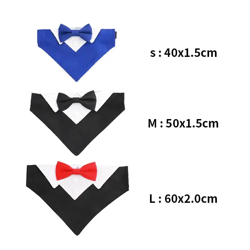 Collier costume noeud papillon pour chien