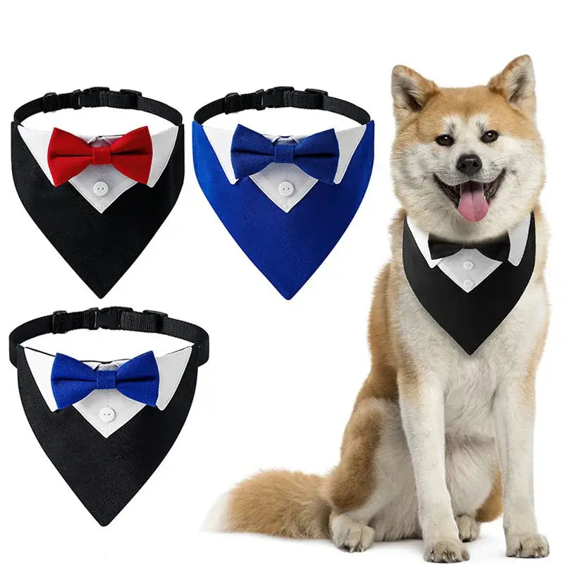 Collier costume noeud papillon pour chien