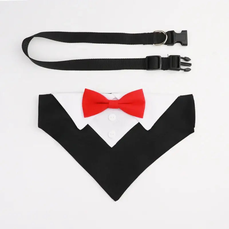 Collier costume noeud papillon pour chien