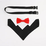 Collier costume noeud papillon pour chien