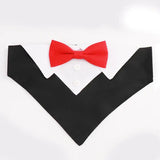 Collier costume noeud papillon pour chien