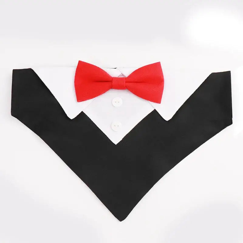 Collier costume noeud papillon pour chien