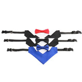Collier costume noeud papillon pour chien