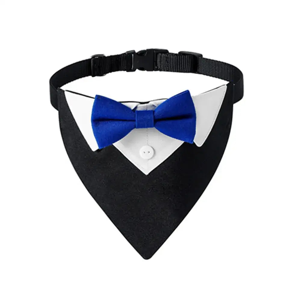Collier costume noeud papillon pour chien