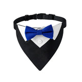 Collier costume noeud papillon pour chien